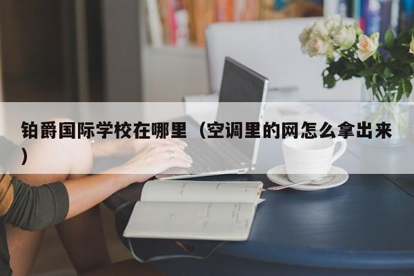 鉑爵國(guó)際學(xué)校在哪里（空調(diào)里的網(wǎng)怎么拿出來(lái)）